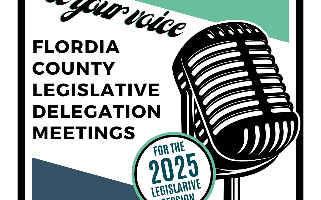 Florida county legislative delegation meetings