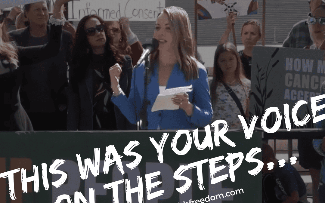 I Was in DC This Week, This Was Your Voice on the Steps…